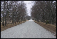 Rock and Dirt Road 1